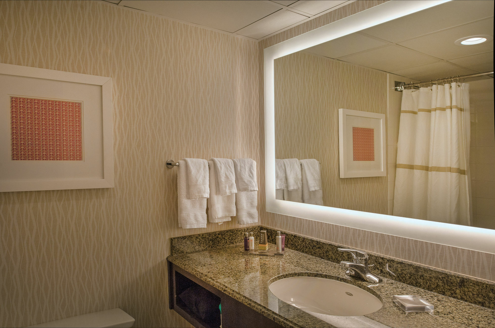 Hotel Marriott St. Louis Airport Edmundson Zewnętrze zdjęcie